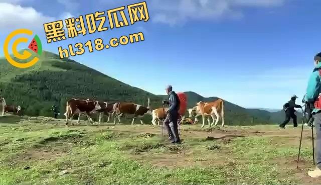 抖音爆笑热瓜，小伙拿登山杖挑牛菊花，没想到反被牛摁地摩擦，这下知道什么叫牛气冲天了吧！-8