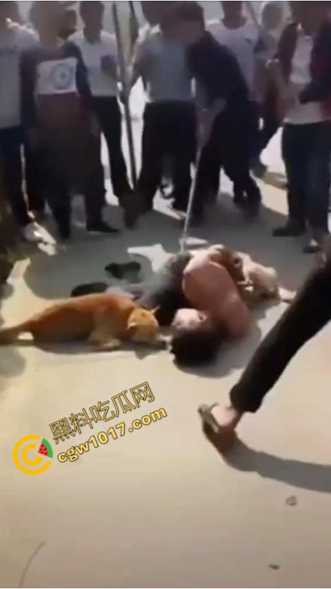 广西村民抓住偷狗贼，脱光殴打，场面血腥凶残，围观村民挥棒狂殴，男子惨嚎不断，村民誓要为爱犬复仇！-9