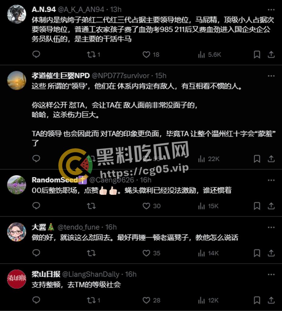 微博抖音狂删贴!00后女孩【诸葛妙妙】浙江政府钉钉群内狂怼辱骂自己的领导 00后整顿职场的时候到了-6