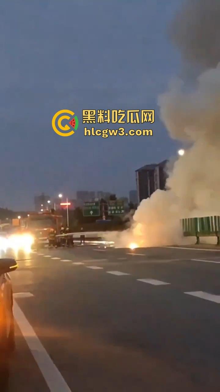 九江首辆紫色小米SU7遭遇车祸 电车安然无恙 油车烧成灰 雷总金字招牌造车没偷工减料!-11