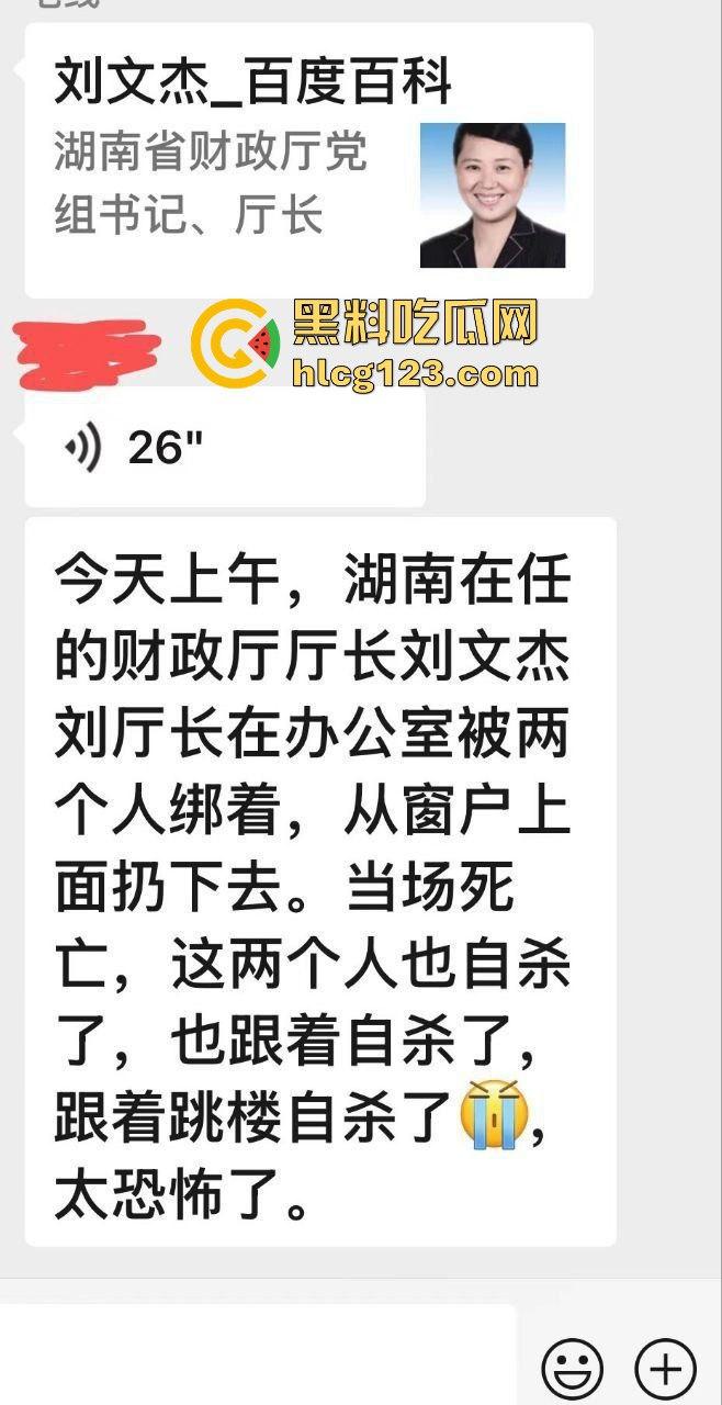 湖南财政厅长刘文杰离奇坠楼死亡!政协委员涉案,新闻被迅速封杀,真相成谜!-4