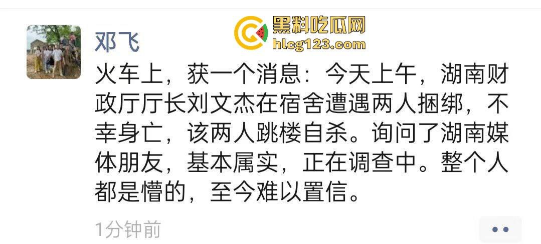 湖南财政厅长刘文杰离奇坠楼死亡!政协委员涉案,新闻被迅速封杀,真相成谜!-12