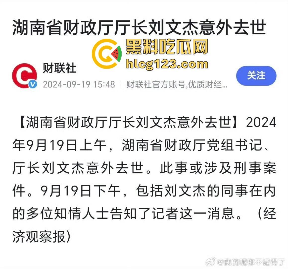 湖南财政厅长刘文杰离奇坠楼死亡!政协委员涉案,新闻被迅速封杀,真相成谜!-21