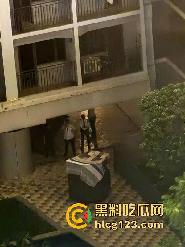 湖南财政厅长刘文杰离奇坠楼死亡!政协委员涉案,新闻被迅速封杀,真相成谜!-25