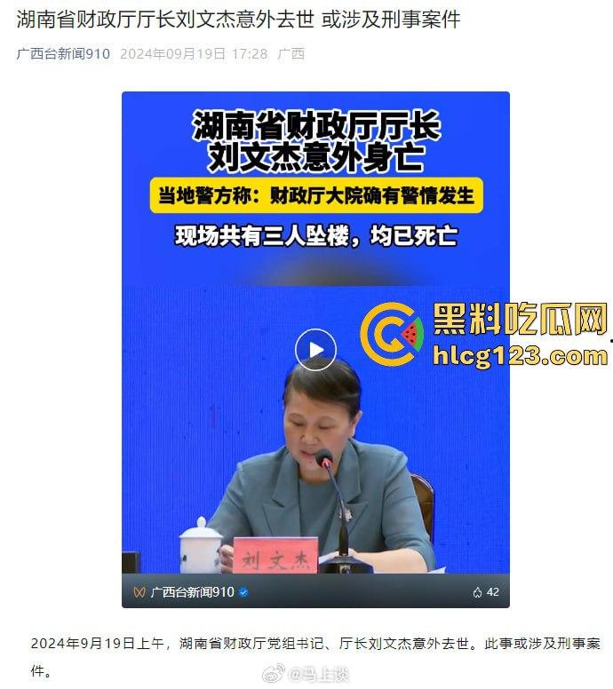湖南财政厅长刘文杰离奇坠楼死亡!政协委员涉案,新闻被迅速封杀,真相成谜!-28