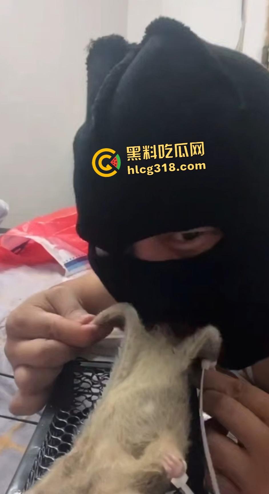 人兽变态新高度!蒙面猛男生啃死老鼠小鸡鸡,带着面罩生怕别人不知道是变态?-1