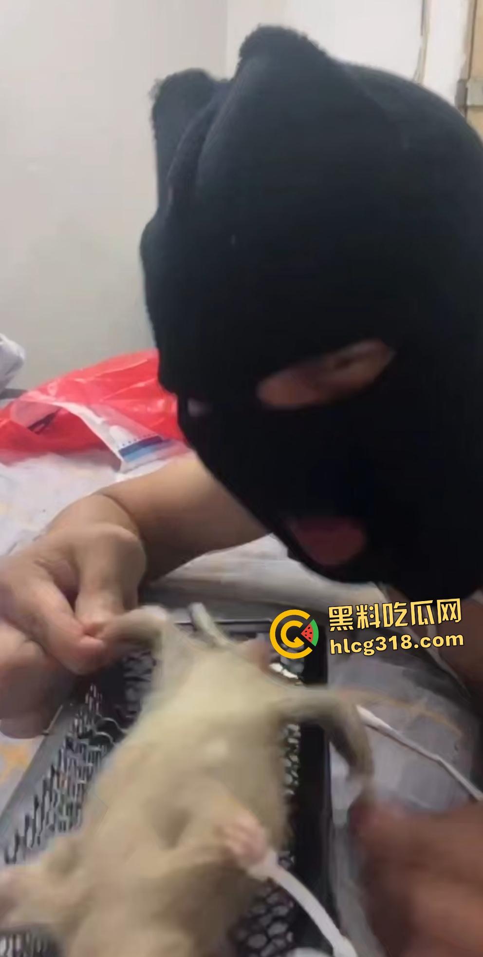 人兽变态新高度!蒙面猛男生啃死老鼠小鸡鸡,带着面罩生怕别人不知道是变态?-7