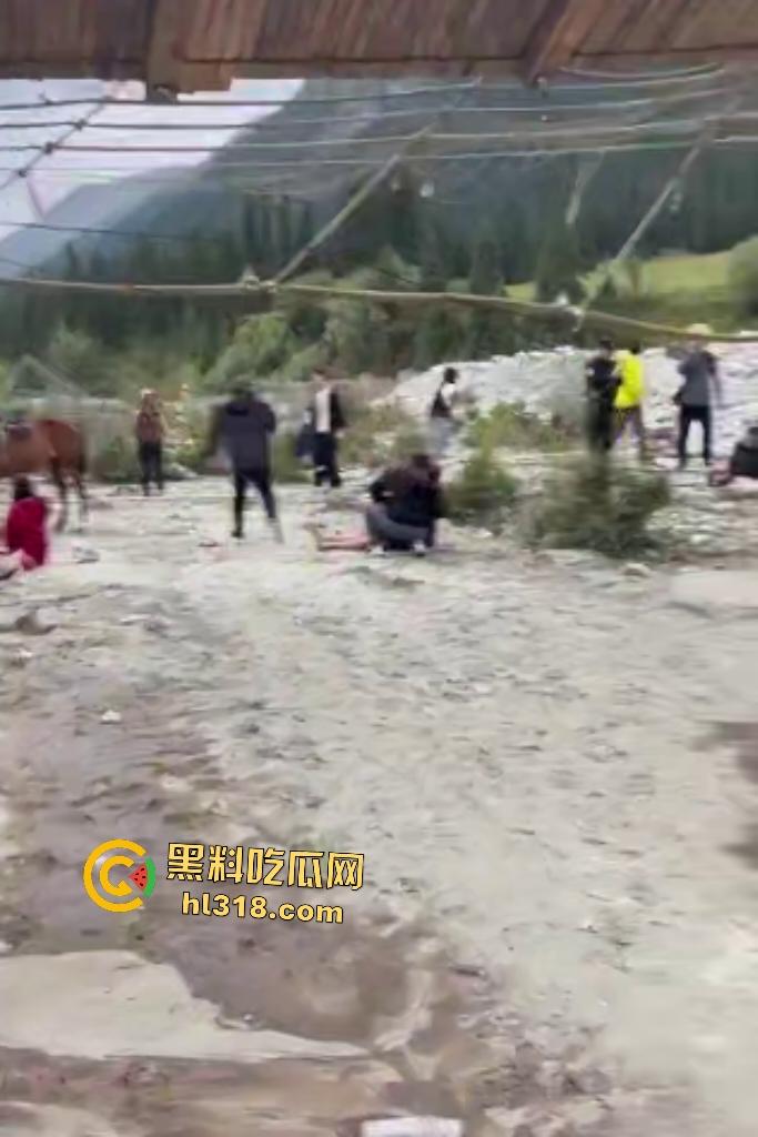 新疆伊犁昭苏县夏塔景区吊桥断裂29人滑落5死22伤，桥虽不高但下面就是激流的河水，直接能摔死！-1