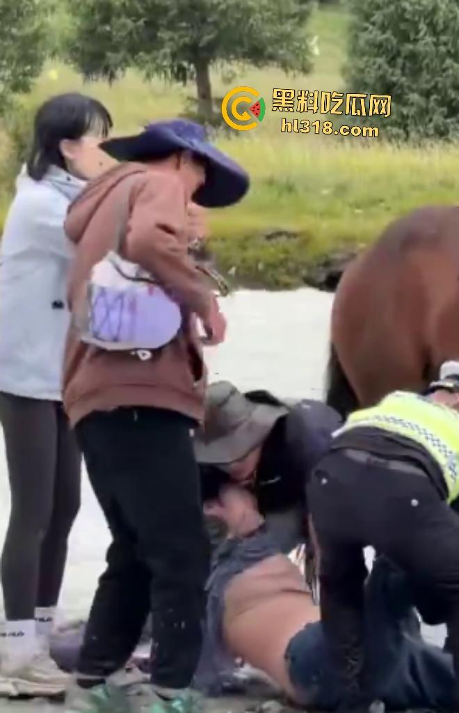 新疆伊犁昭苏县夏塔景区吊桥断裂29人滑落5死22伤，桥虽不高但下面就是激流的河水，直接能摔死！-7