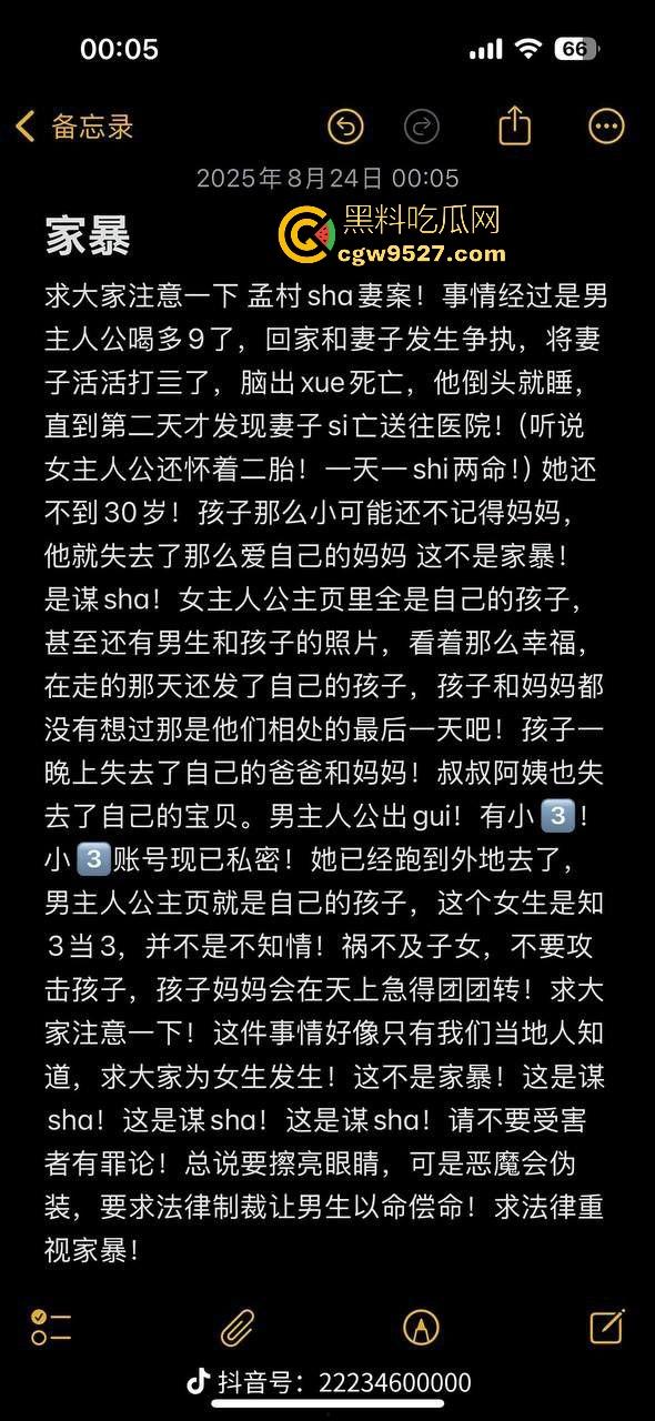 婚内出轨不稀奇，河北检察官【金昊】出轨还家暴杀妻？怀孕三月妻子被活活打死，一尸两命成了出轨的投名状？-8