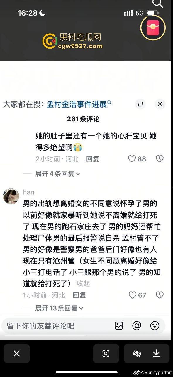 婚内出轨不稀奇，河北检察官【金昊】出轨还家暴杀妻？怀孕三月妻子被活活打死，一尸两命成了出轨的投名状？-9