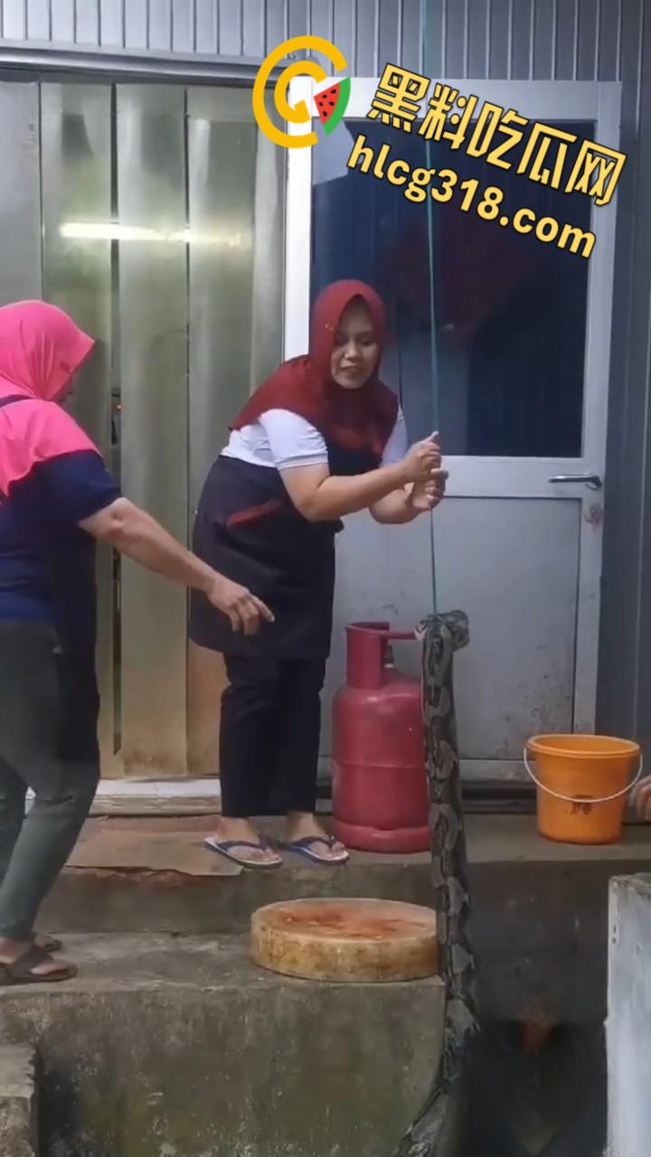 农夫徒手大战蟒蛇,54公斤巨型蟒蛇被活活打死,农户剥皮下锅做大补美食,场面血腥 !-5