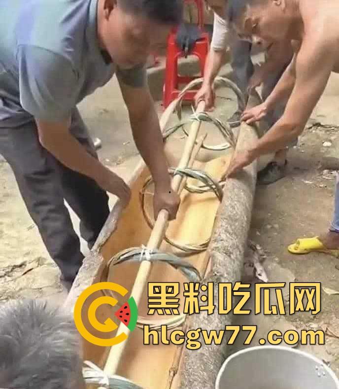 女汉子是怎样炼成的 为了生存两女子扛硕大原木下山 知道真相气愤不已!为了流量魔术抖整起来了-6