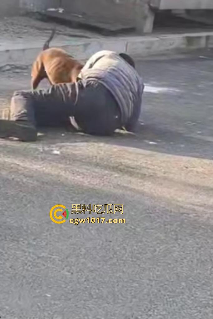 大爷手贱开狗笼被比特犬当场反咬！女主人抱不住狗，大妈大爷拿棍子打像挠痒，比特犬得配上香料才安抚大爷的心！-4