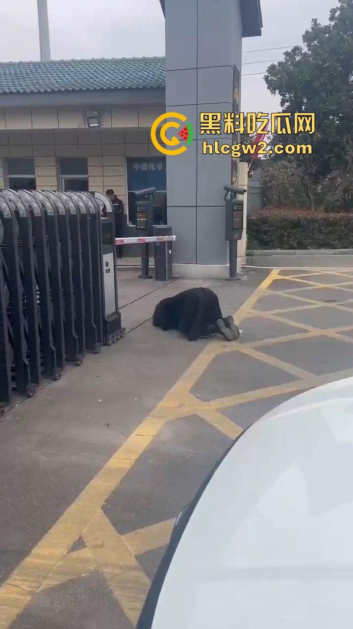 江苏女子匍匐跪地讨18万工钱!抱住腿痛哭求怜悯,欠薪公司无动于衷近20天仍赖账!-6