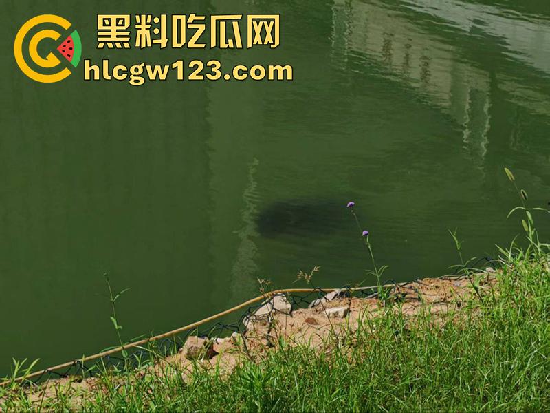 湖北武汉学生坠湖自杀，中国地质大学未来城校区，因女友出轨想不开，竟跳湖自尽遗体已被打捞！-8