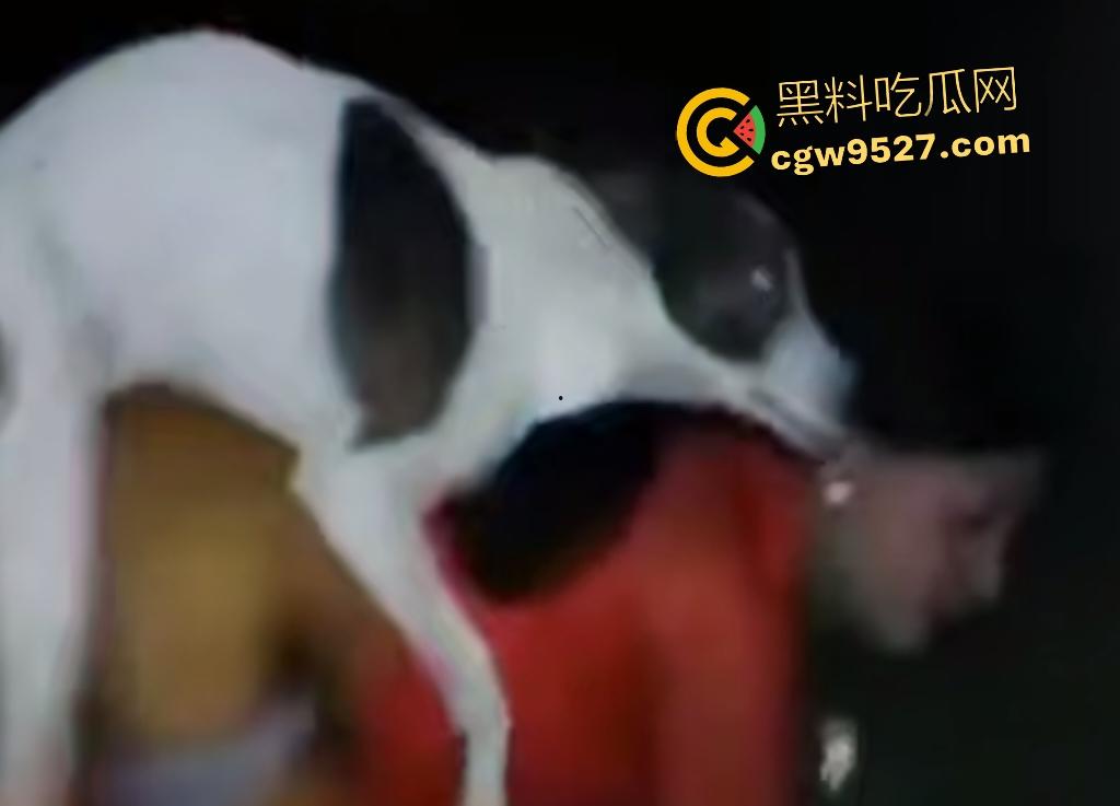印度18岁少女为驱除“恶灵”，要嫁给一条流浪狗，深夜在户外被流浪狗后入，狗精子腥臭四溢！-6