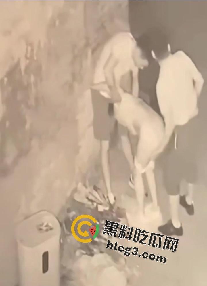 山东师范大学美女学生『薛菲』街头醉酒后被两人拉至路边强奸  被两男子插嘴后入-6