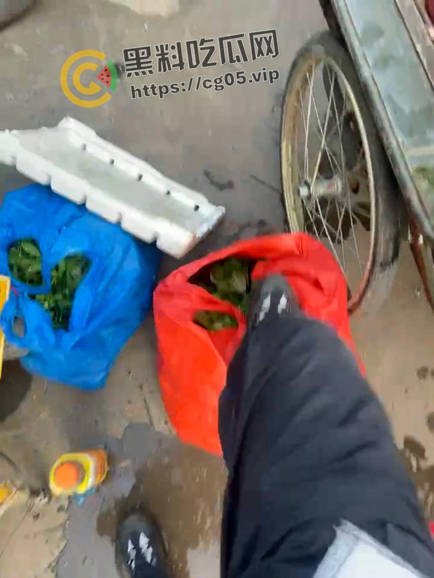 曝光畜生!名为【孙奥】的城管义工在浙江湖州南浔区旧馆塘南农贸市场踩踏卖菜老人蔬菜 嚣张至极 声称曾抽打老人耳光并让其下跪 现个人信息全部曝光-10