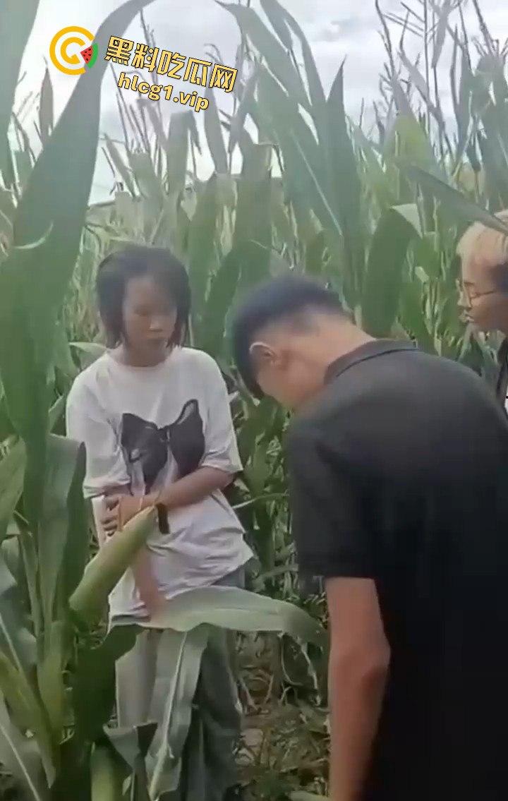 河南商丘高中女生被两名男同学殴打！玉米地中耳光、拳脚相加！-3