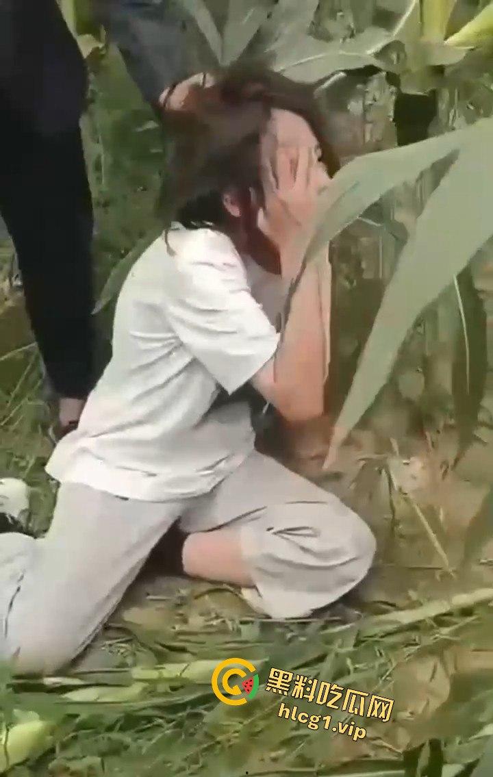 河南商丘高中女生被两名男同学殴打！玉米地中耳光、拳脚相加！-4