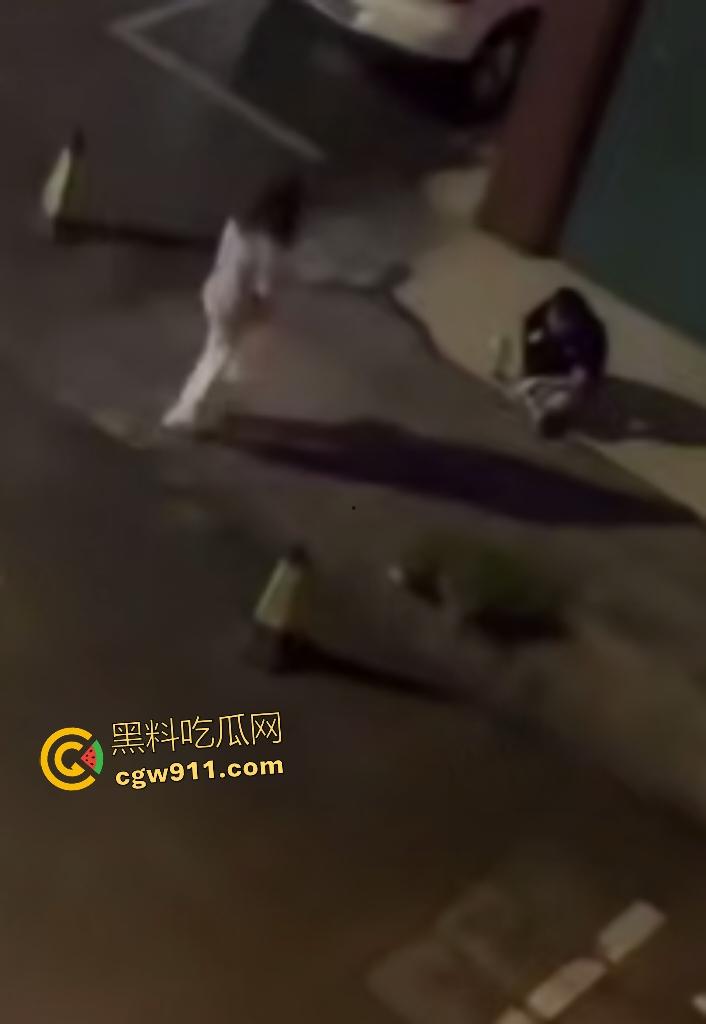 广西南宁情侣夜晚扰民，女友疯魔石头砸豪车，男友坐地被一脚踢喉管倒地，女友还补刀狂踹，不踢死不罢休！-6