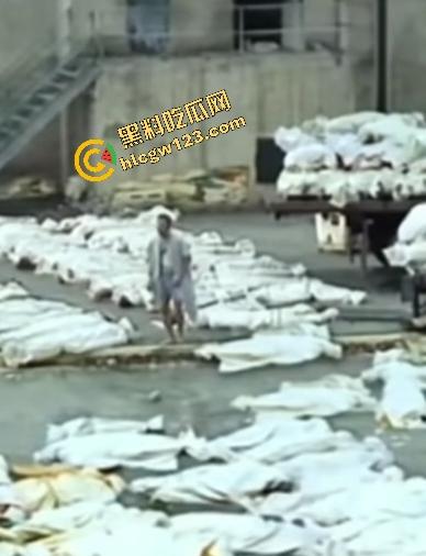 海地“绝命毒师”杀黑帮40人?掺杀虫剂当馅饼毒杀灭共生帮,自首竟没被抓还被政府奖励钱!-9