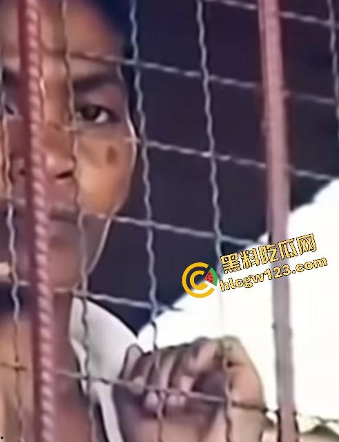 海地“绝命毒师”杀黑帮40人?掺杀虫剂当馅饼毒杀灭共生帮,自首竟没被抓还被政府奖励钱!-11