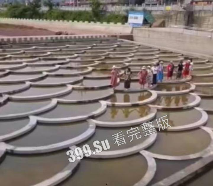 四川雅安陇西河鱼鳞坝，11位退休大妈衣着靓丽开心的在河坝边上载歌载舞  下一秒涨水带走七位，天人永隔！-3