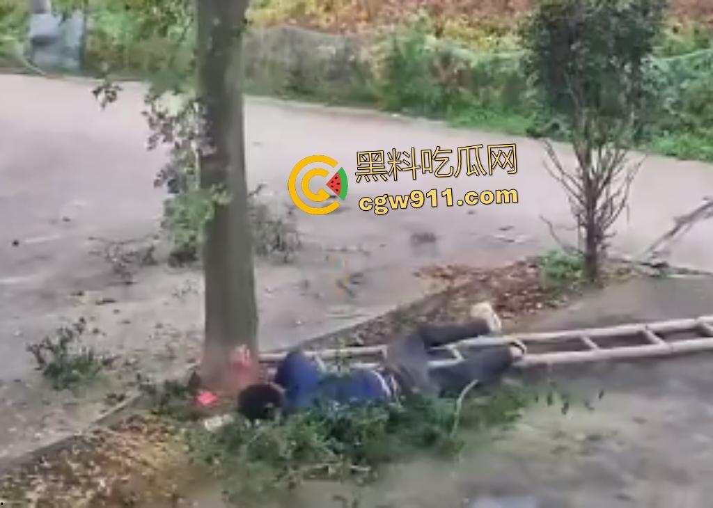 大爷作死上树砍枝惨摔内伤！年过半百爬木梯伐树，树枝滑落砸翻落地，这才是真伐木累，痛到怀疑人生！-3
