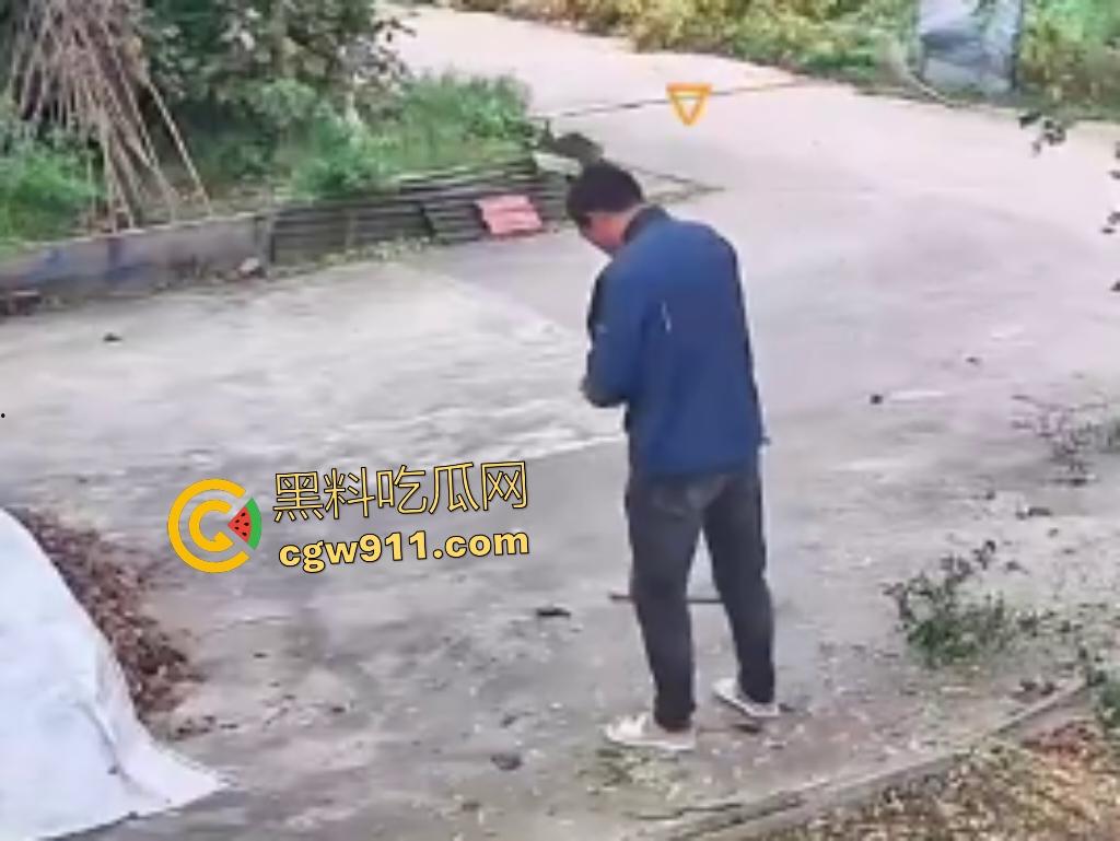 大爷作死上树砍枝惨摔内伤！年过半百爬木梯伐树，树枝滑落砸翻落地，这才是真伐木累，痛到怀疑人生！-8