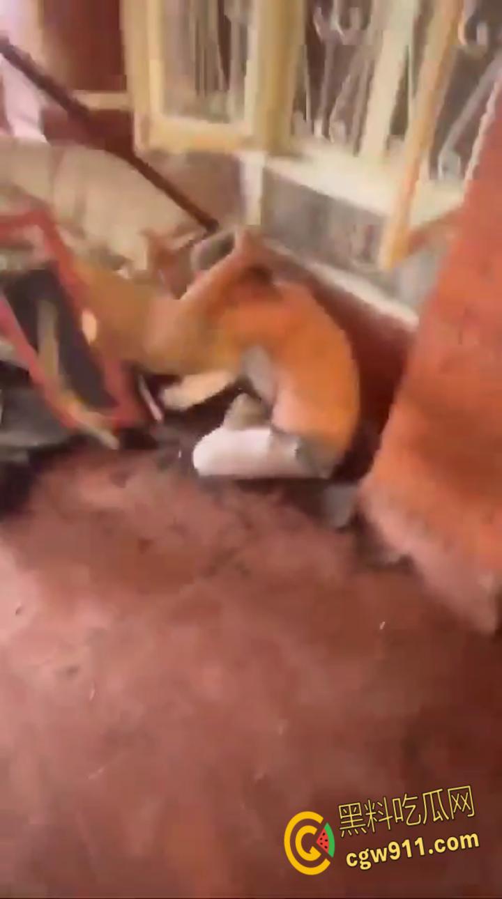 尼泊尔突发暴乱，前总理妻子在家中被民众放火烧死，财政部长被游街拖行，并被赶入河中殴打 ！-3