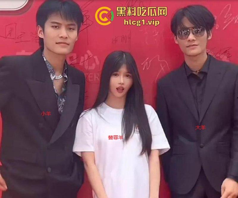 大瓜!风波升级辛巴小杨哥互撕 曝三只羊合伙人被判刑 曾志伟连夜改名疑证实!-13