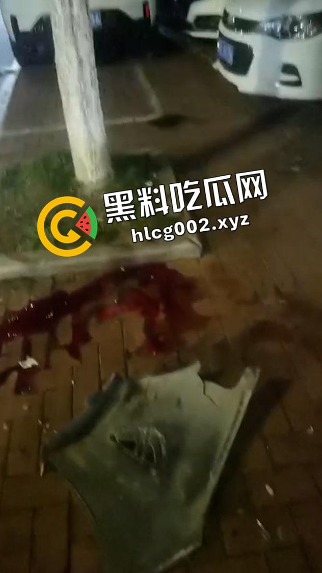 安徽工业大学大瓜！情侣骑单车被毒驾司机失控撞死 现场视频流出-2