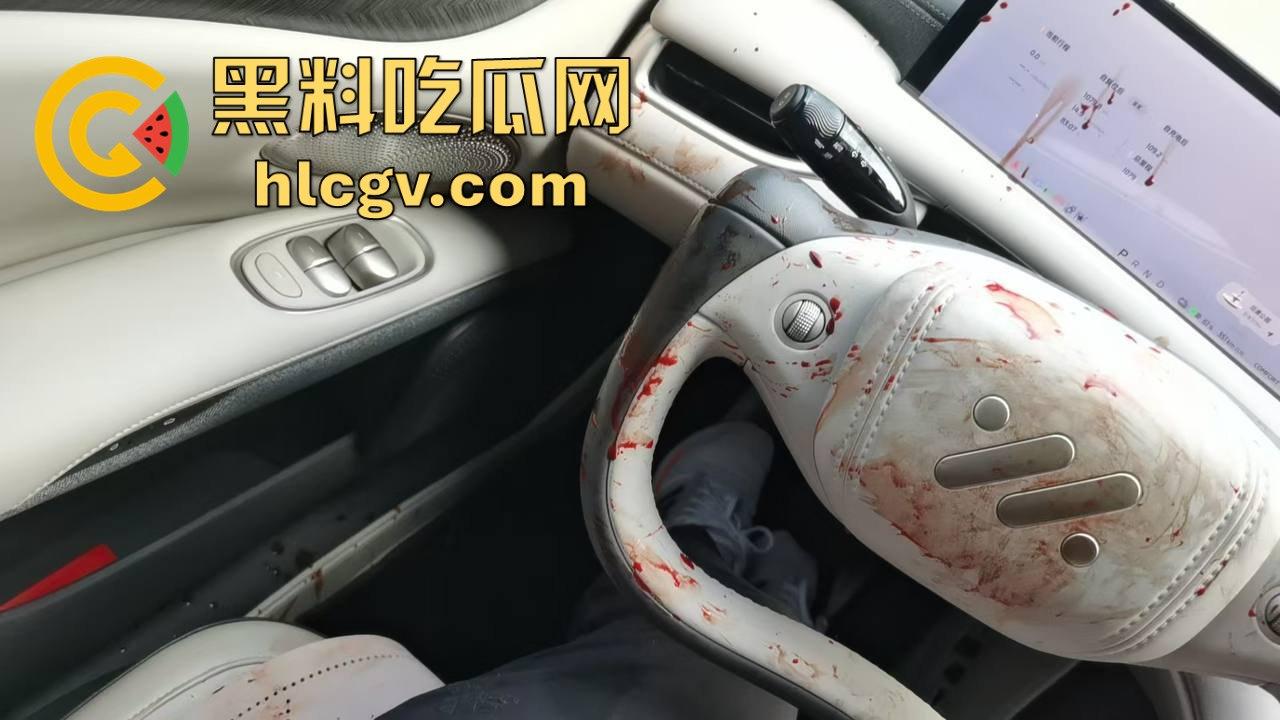 瓜友投稿提新车还得见血?智己测评见鸡血,婆婆竟找神婆做法,这年头唯物主义去哪了?-2