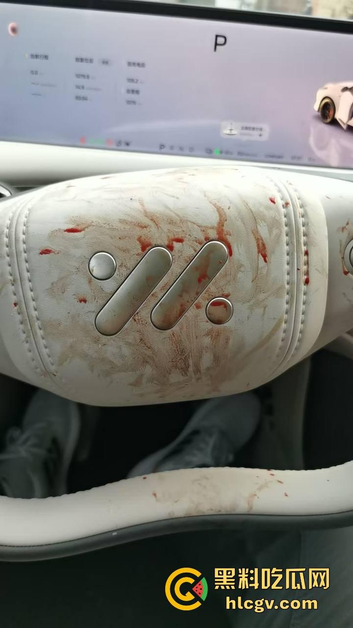 瓜友投稿提新车还得见血?智己测评见鸡血,婆婆竟找神婆做法,这年头唯物主义去哪了?-6