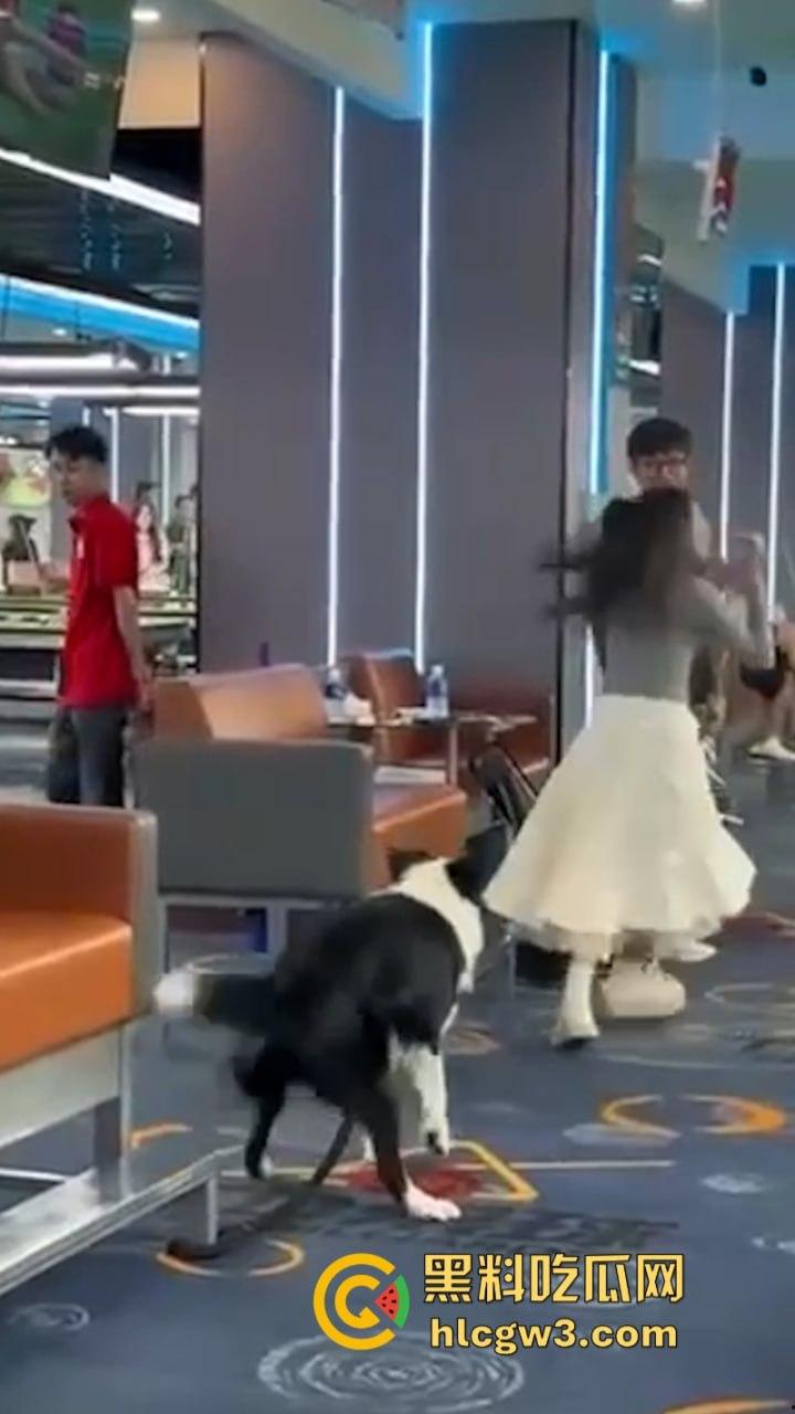 狗子发情当众操“妈” 大庭广众之下抱腿突击!美女吓得抱头躲避 在家没少干吧?-4