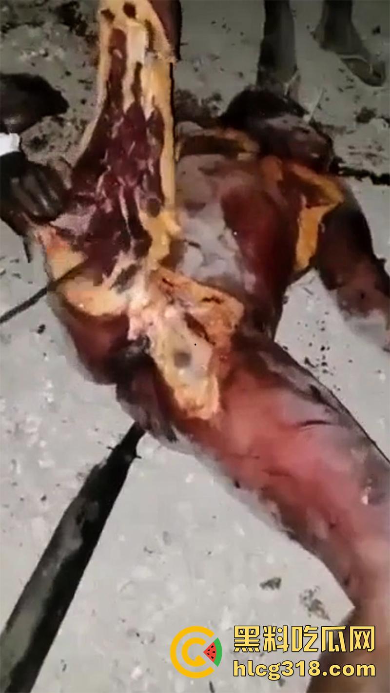 非洲大奶黑妹被砍断双手，棍棒砸扁头杀害后，被一群男子当场分尸割肉，还有人拿棍捅逼，真变态啊！-7