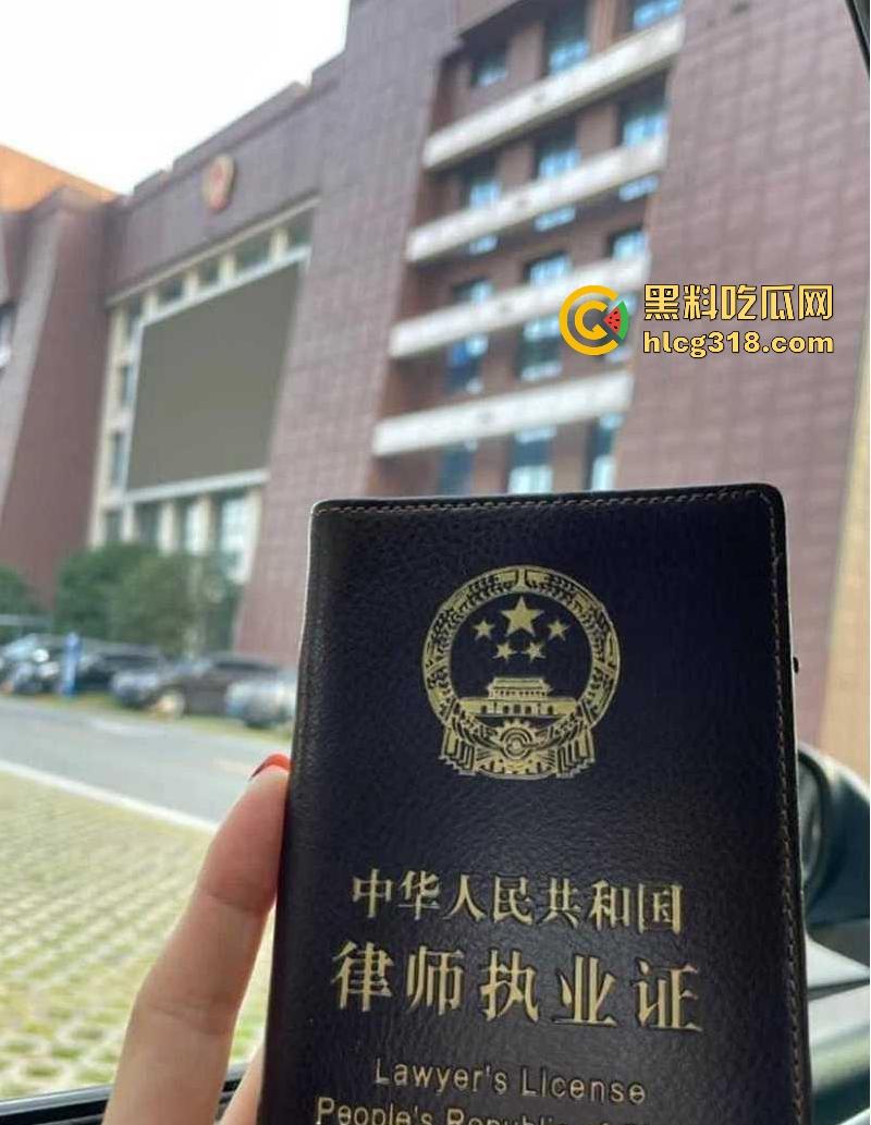 表面是职场精英律师，背后化身极品性感福利姬，黑丝全裸尺度炸天，脱律师服掰臀露穴，反差爆表！-2