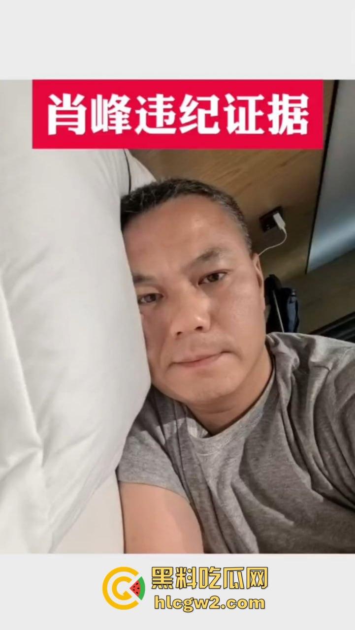 海南陵水县委副书记『肖绿』化身曹孟德玩人妻 少妇跪舔鸡巴舔到销魂，老公怒爆全程，聊天记录骚到飞起！-1