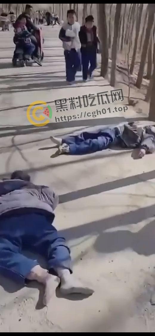 山东德州残疾人酒驾撞死学生 尸体遍地 死亡数十人 现场血腥画面曝光-3
