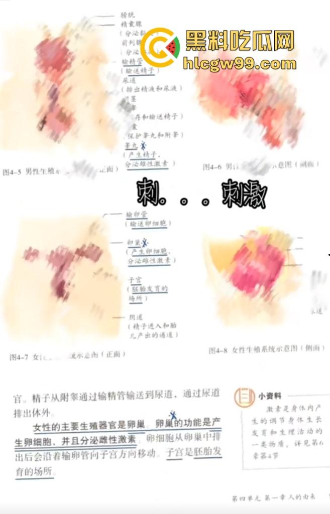 七年级生物课现场社死，老师一本正经讲解鸡巴与阴道的互插关系， 还让全班大声朗读鸡巴，课堂笑死个人！-2