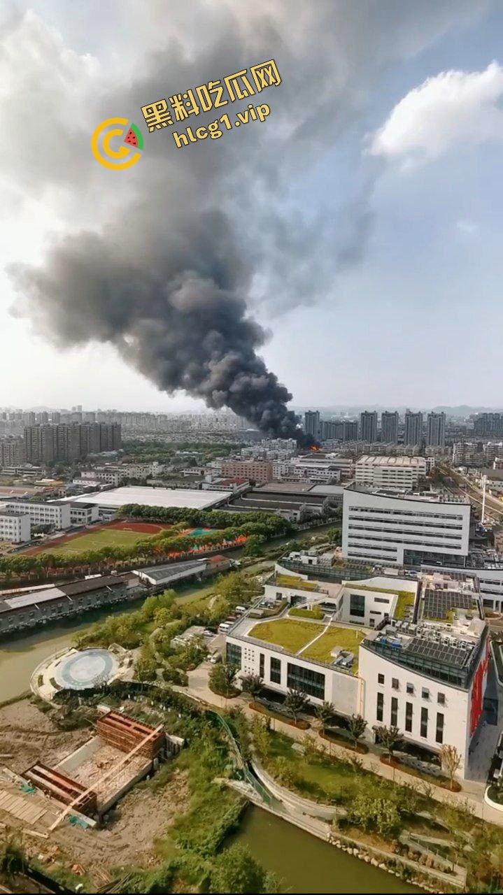 燃烧殆尽!宁波海曙一装潢材料市场 突发大火!火海涌现!-7