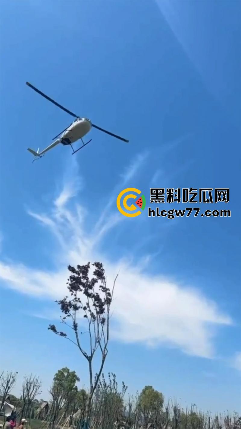 熊孩子惹大祸了,小型直升机降落,熊孩子弹弓射到机尾旋桨,导致机身不稳当场坠毁!-4