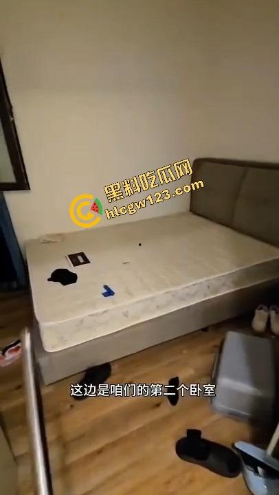 仙女撤退不带走一片云彩，丝袜满地开花，蟑螂拖家带口，这是租房？还是考古挖掘人类退化遗迹？-11