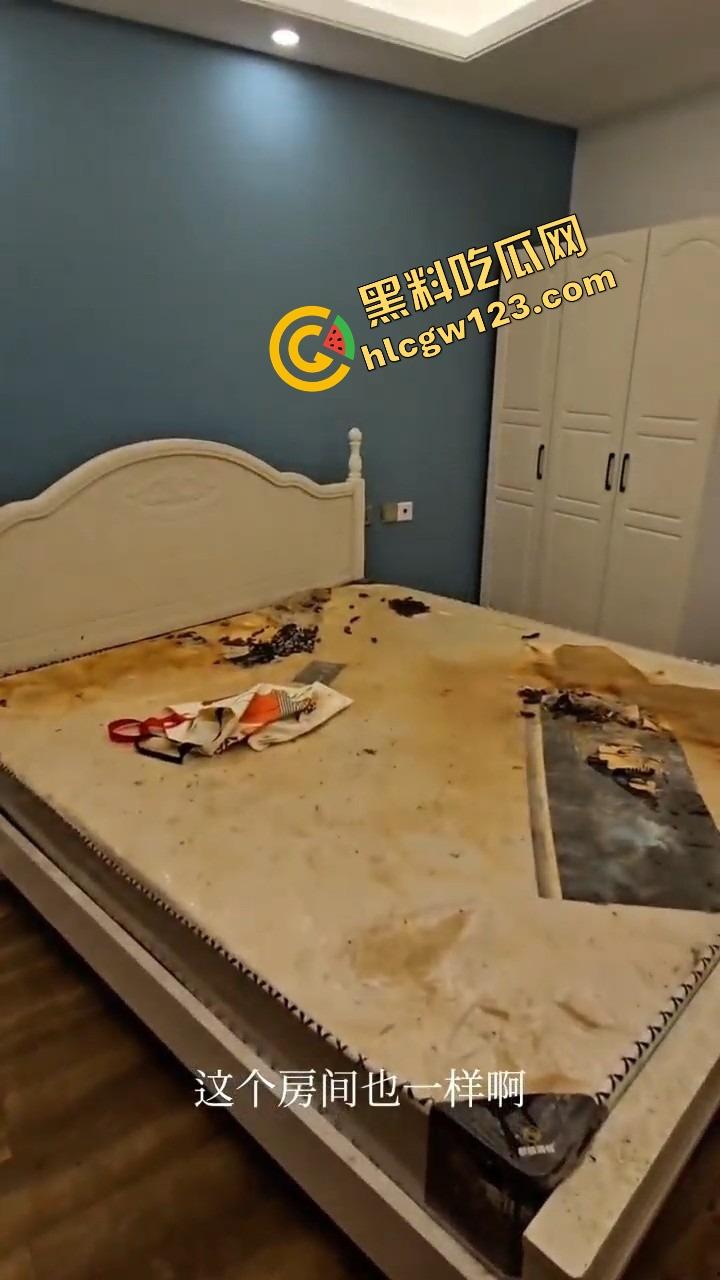 仙女撤退不带走一片云彩，丝袜满地开花，蟑螂拖家带口，这是租房？还是考古挖掘人类退化遗迹？-17