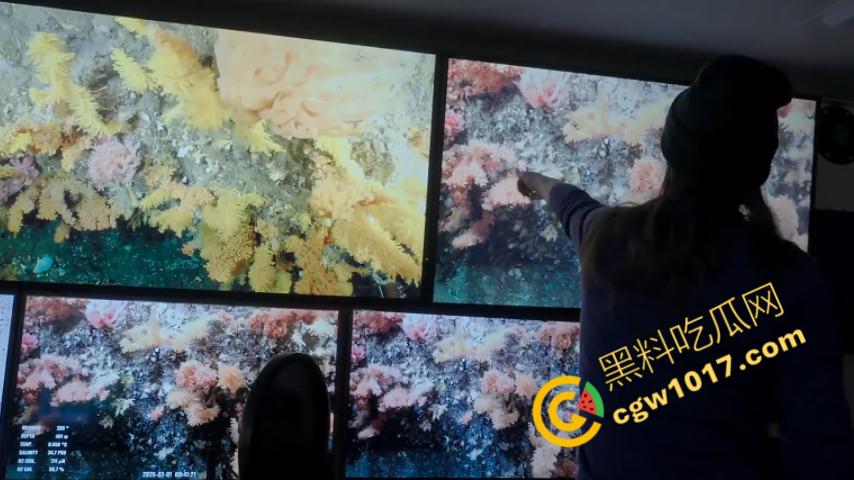 南极科考内部视频劲爆流出：30种未知致命生物！从“死亡之球”到“僵尸蠕虫”，史前病毒横行，足以令人毛骨悚然！-10