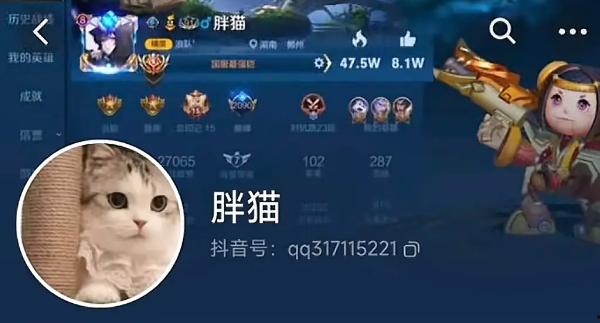 纯爱不死！王者荣耀国服梦琪【肥猫】【谭竹】事件全梳理 两年转账51万后被PUA至死 谭竹被打视频流出？正义开盒-1