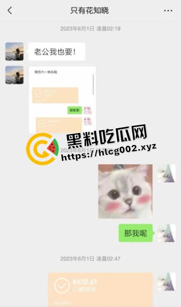 纯爱不死！王者荣耀国服梦琪【肥猫】【谭竹】事件全梳理 两年转账51万后被PUA至死 谭竹被打视频流出？正义开盒-3