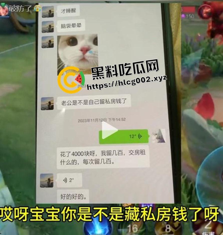 纯爱不死！王者荣耀国服梦琪【肥猫】【谭竹】事件全梳理 两年转账51万后被PUA至死 谭竹被打视频流出？正义开盒-10